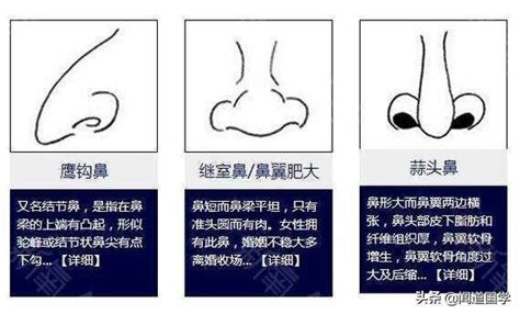 露鼻孔 面相|露鼻孔的面相性格與命運詳解